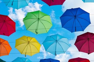 Vulnerability: It is on ALL the Regulators Yearly Plans for 2017